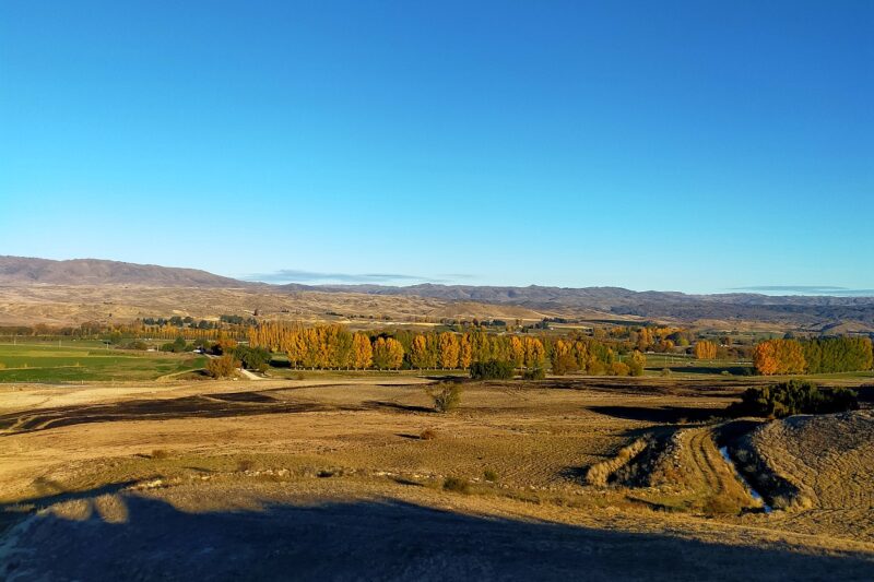 Central Otago landscape image with hills in the background